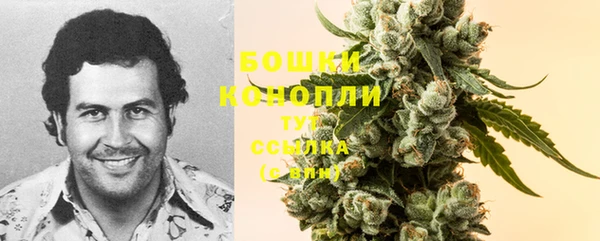 ПСИЛОЦИБИНОВЫЕ ГРИБЫ Армянск
