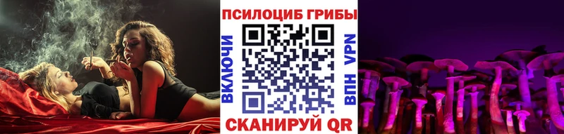 Галлюциногенные грибы MAGIC MUSHROOMS  продажа наркотиков  Сысерть 